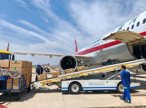 山東日照機場蝦苗旺季運輸工作圓滿收官，運輸量創歷史新高