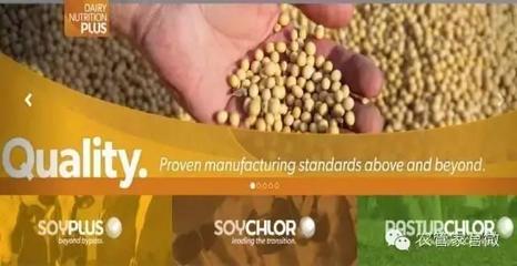 農(nóng)業(yè)合作社的力量 美國如何應(yīng)對(duì)谷物滯銷挑戰(zhàn)