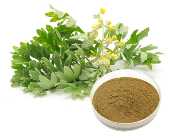 艾葉提取物在化妝品中的功效與應(yīng)用 天然植物源護膚潛力解析