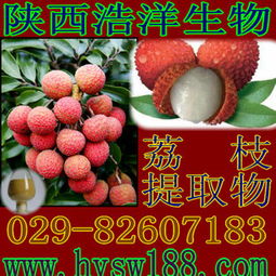 供應(yīng)荔枝提取物 天然植物提取物的價值與選購指南